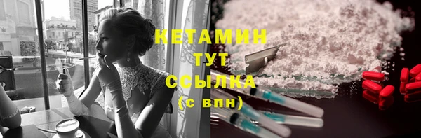 сатива Аркадак