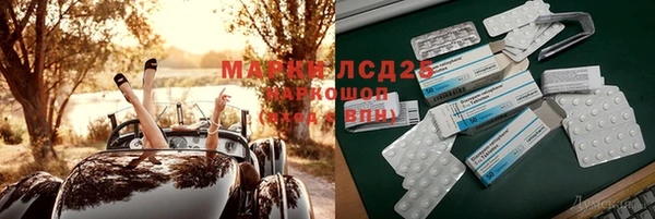 сатива Аркадак